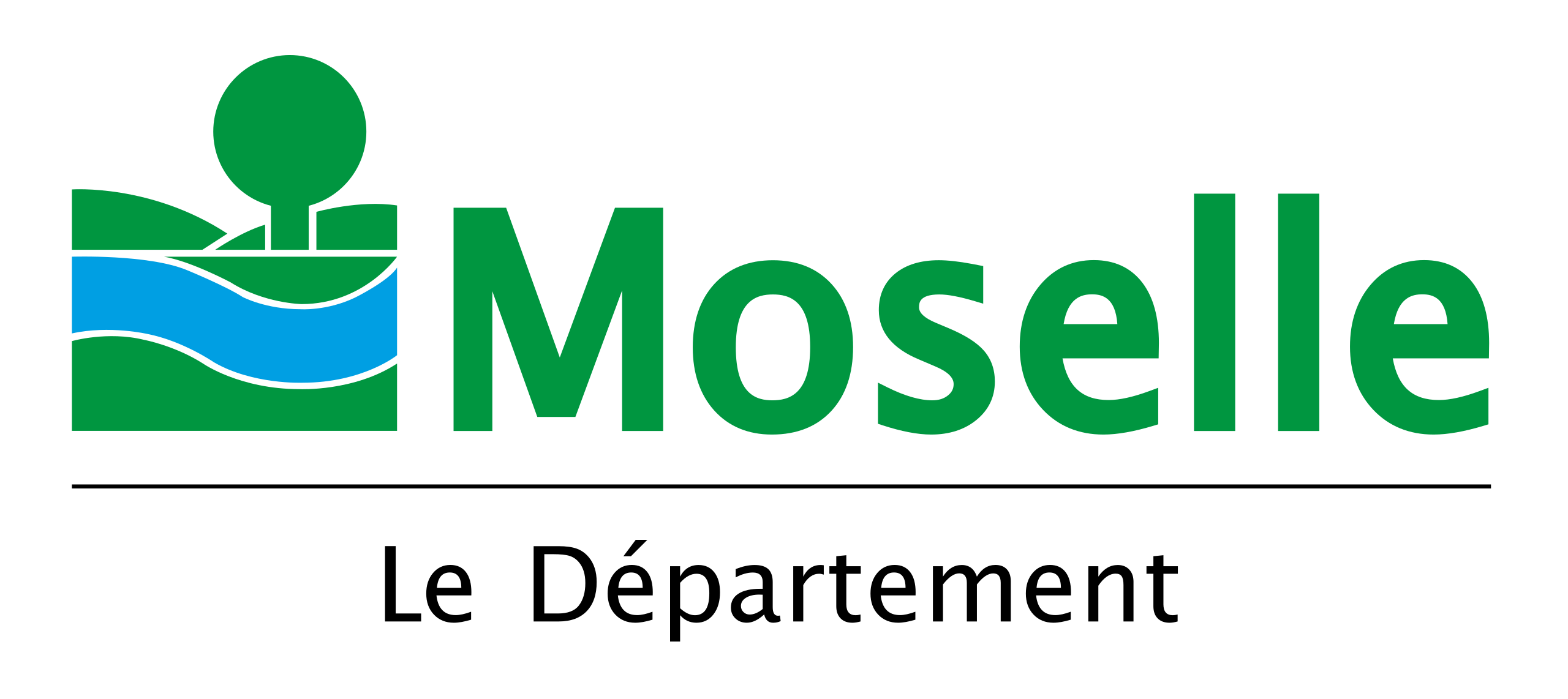 Logo webmaster - Moselle