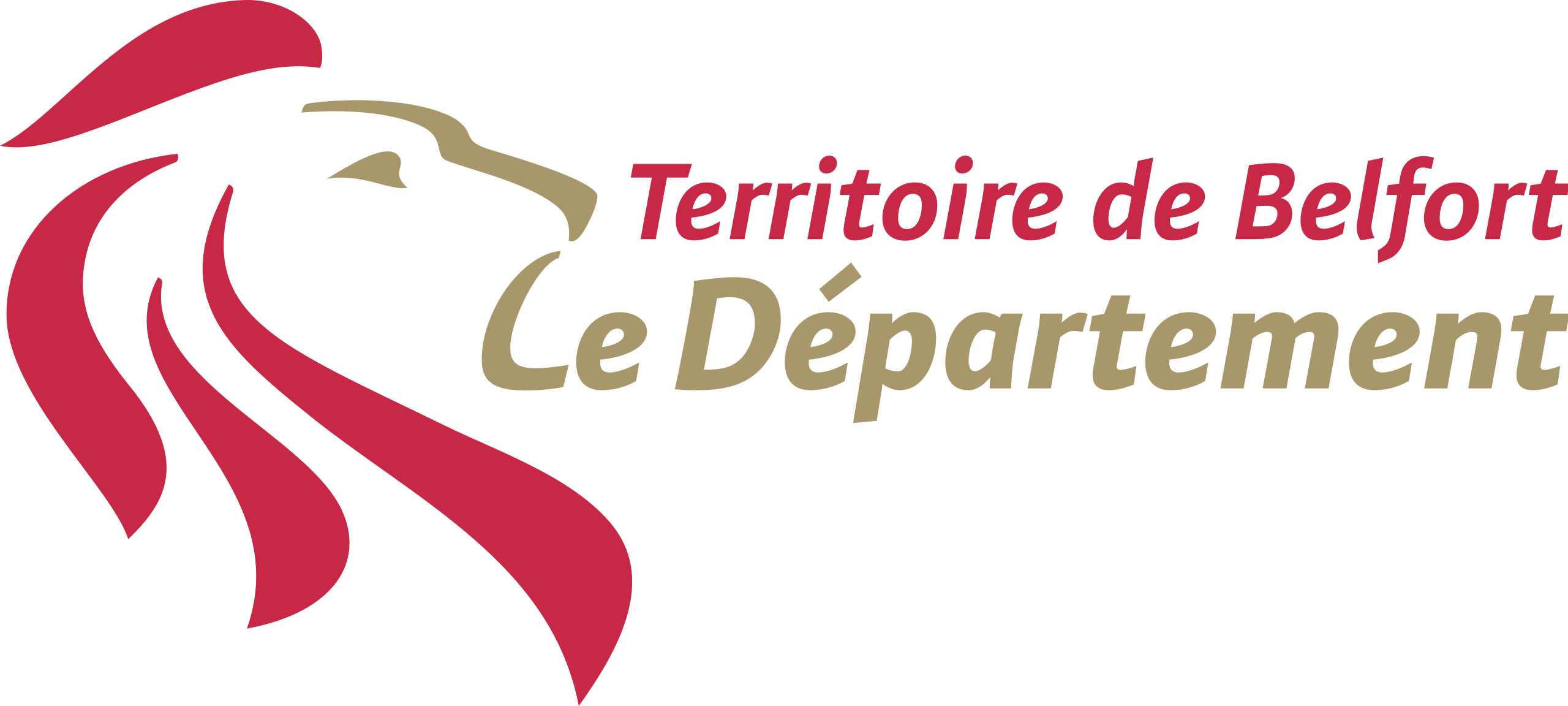 Logo webmaster - Territoire de Belfort
