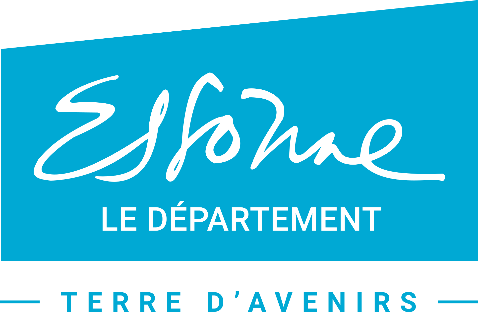 Logo webmaster - Essonne